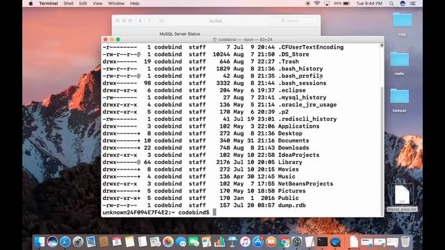 How To Install MySQL on macOS Monterey/Big Sur May 2022 смотреть онлайн