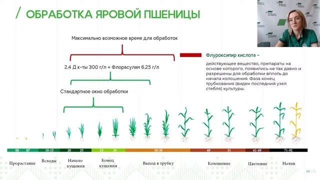 Вебинар. Все пропало? Как бороться с сорняками с помощью гербицидов. смотреть онлайн