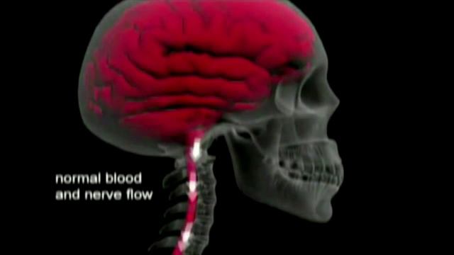 Зри в корень или в позвоночник смотреть онлайн