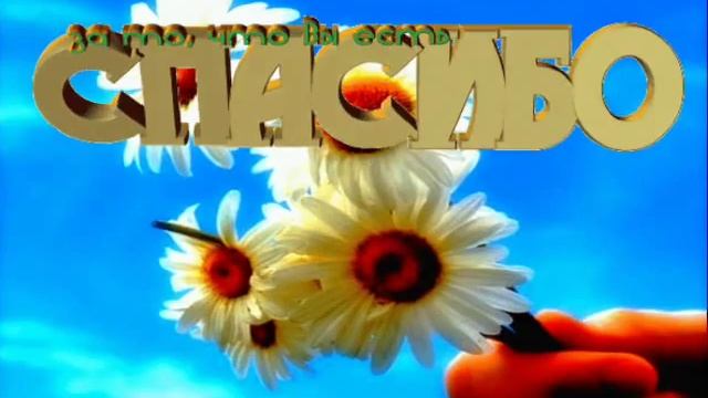 СПАСИБО ВСЕМ ДРУЗЬЯМ смотреть онлайн