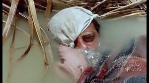 Великолепный (Великолепный 1973г.)