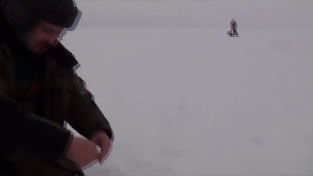 Окунь на рыбинском водохранилище смотреть онлайн
