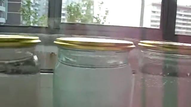 Тест разных питьевых вод на рыбках смотреть онлайн