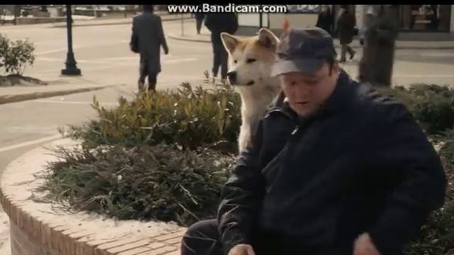 A musica mais triste do mundo com Hachiko :( смотреть онлайн