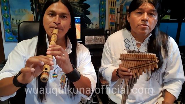 Presentation of Instruments - презентация инструментов -prezentacja instrumentów - Wuauquikuna смотреть онлайн