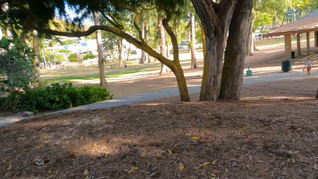 Отпуск на Гавайах остров Оаху/ Отель, закат и океан в Америке/ Нужны люди для работы в США смотреть онлайн