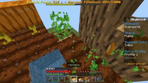 1000 КАРТОШКИ НА SKYBLOCK СЕРВЕРА CUBECRAFT (MINECRAFT 1.19.40)