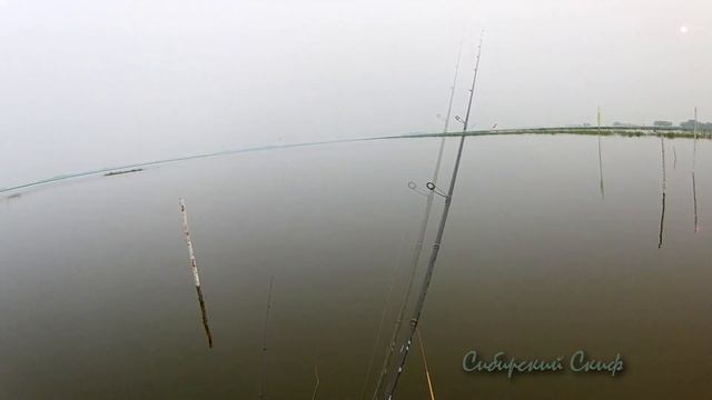 Бешенный Клёв Окуня и Плавующий Козёл Варган из ЕКБ