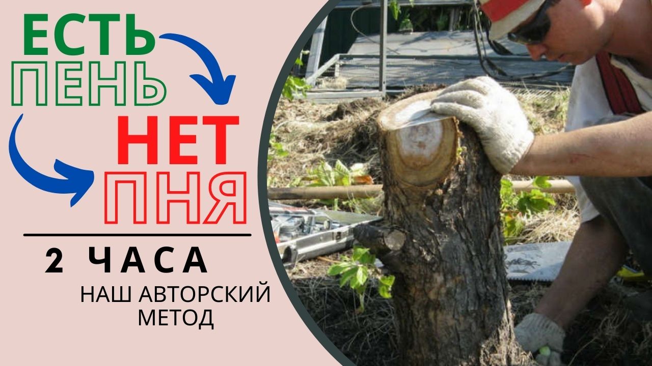Как избавиться от пня за 2,5 часа смотреть онлайн