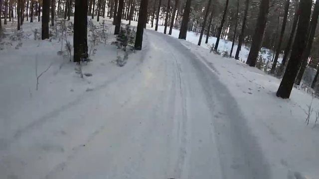 Нормальный прострел по зимнему лесу рекомендую ?#эндуро #snowenduro #endurorussia #enduro смотреть онлайн