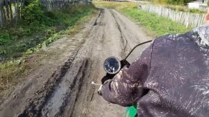 Самодельный грузовой трицикл из урала в деле