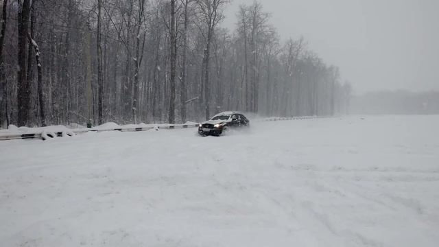 Финик на снегу