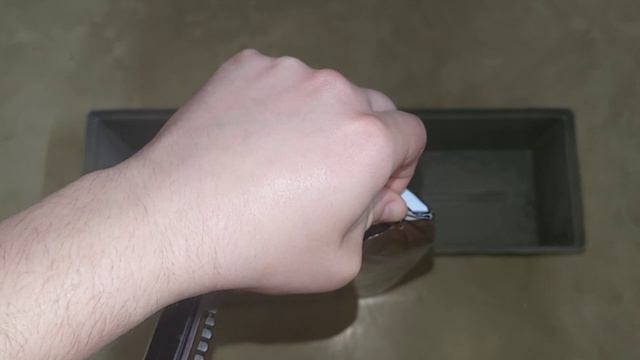 Лук в квартире. Легко!