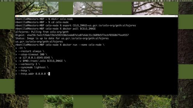 Celo Spark: Local Node Setup w/Docker смотреть онлайн