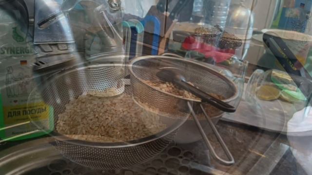 Выращиваем триходерму дома смотреть онлайн