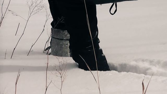 "МАТУШКА ЗИМУШКА" Русские гусли. Николай Третьяков. Музыка и слова Атмана Правислава. смотреть онлайн