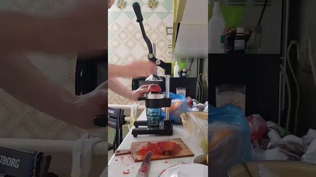 Соковыжималка (пресс), для цитрусовых! Веганские будни. смотреть онлайн