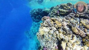 Эль-Фанар пляж в Шарме - обзор. El Fanar Beach