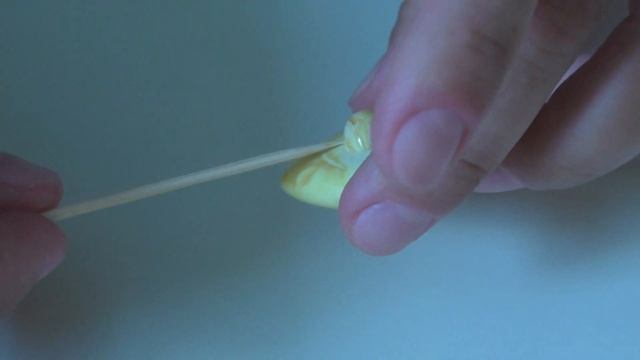 Янтарь или желтый бакелит - определим дома. Как выглядит губчатый коралл смотреть онлайн