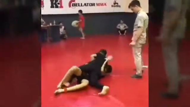 JIU-JITSU UZBEKISTAN