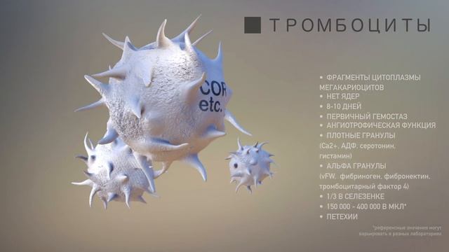 Тромбоциты #fastfact смотреть онлайн