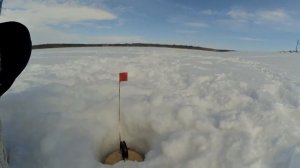 Щука монстр 11,5 кг.!!! Рыбалка на Зейском водохранилище в марте 2020