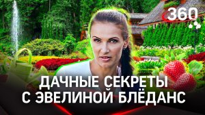 Птицы не вернутся в ваш сад! Расскажем способ | Эвелина Блёданс. «Дача 360»
