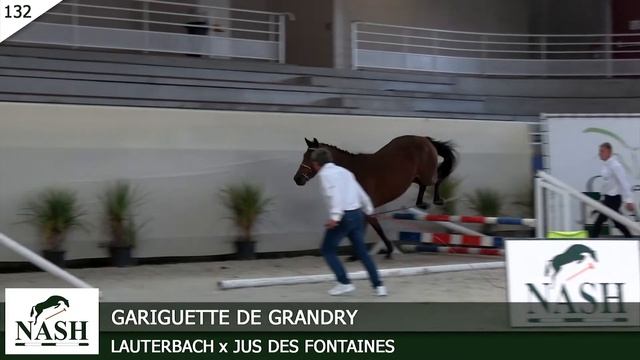 N°132 - GARIGUETTE DE GRANDRY - Ventes Elites NASH 2020 смотреть онлайн
