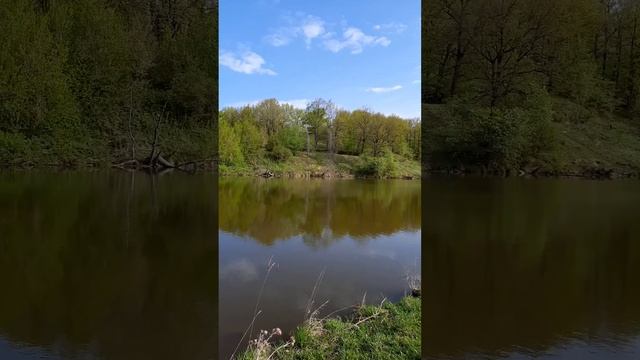 Утро ,у реки