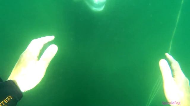 Белуха. Катания на тёплом организме смотреть онлайн