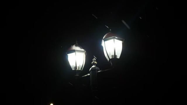 Зимний сад смотреть онлайн