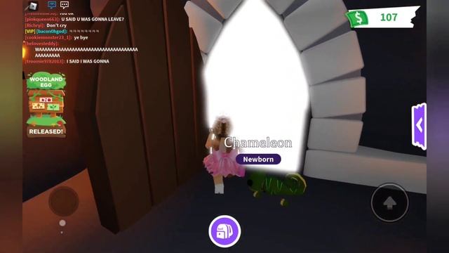 Adopt Me! Opening 6 RGB Boxes! Making Mega Pets! Getting Legendary RGB Box Pet! смотреть онлайн