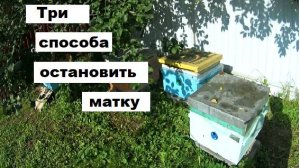 Три способа остановки матки