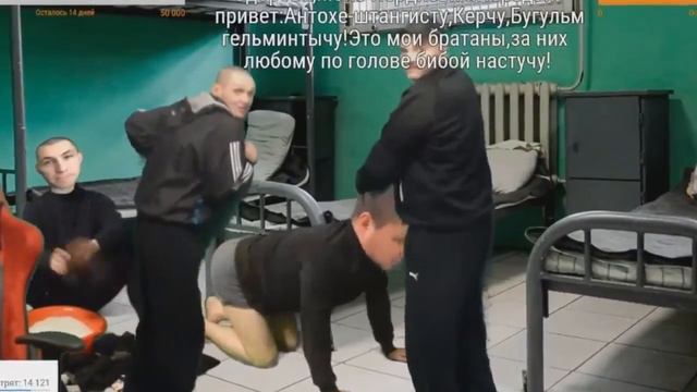 МОПС И АНДРЮХА ГАТЯТ ХОЧУ ПОЖРАТЬ смотреть онлайн