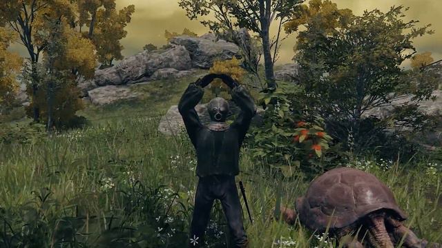 Elden Ring DLC BONUS Ring Gesture