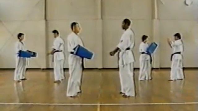 Enshin Karate ( sabaki method 2 ) смотреть онлайн