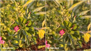 Samsung Galaxy S24 Ultra VS iPhone 15 Pro Max | Night Mode Camera Test