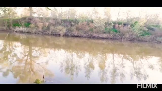 Отравление реки Илек смотреть онлайн