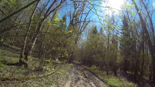 Racer panther 250 по жесткому бездорожью смотреть онлайн