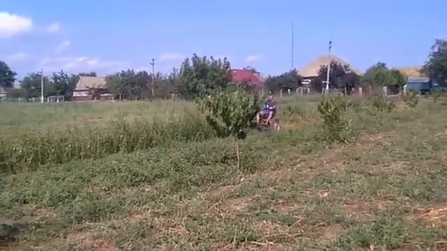 Покос трави мотоблок Зубр смотреть онлайн