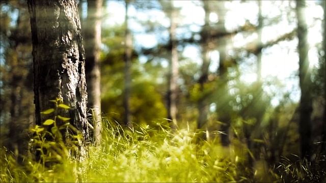 ОМ (АУМ) Мантра. Для утренней медитации смотреть онлайн