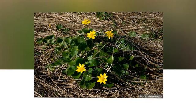 Момент чуда смотреть онлайн