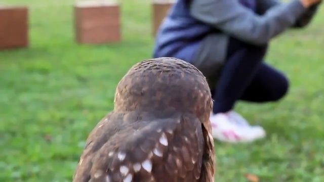 Мимими как мило смотреть онлайн