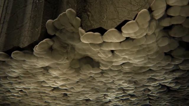 Видео: Как работают присадки Супротек (Suprotec)?