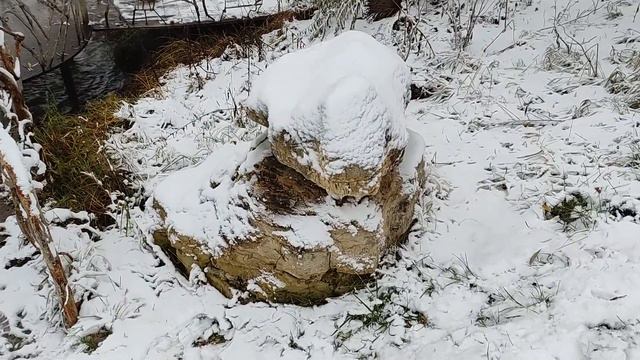 Ну, а теперь, друзья... Крутящиеся камни в парке «Легенда». смотреть онлайн