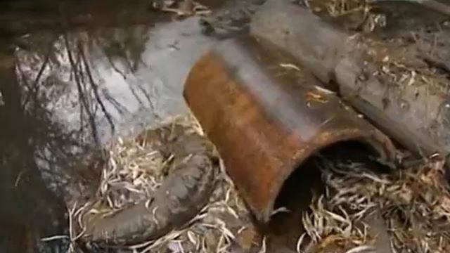 Экоакция на реке Правая Берёзовая смотреть онлайн