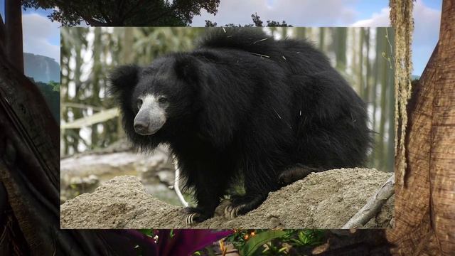 Making the INDIA DLC! - Planet Zoo смотреть онлайн