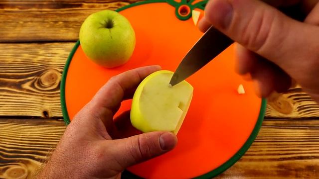 Животные в Зоопарках