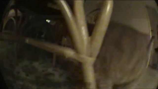 cam test смотреть онлайн