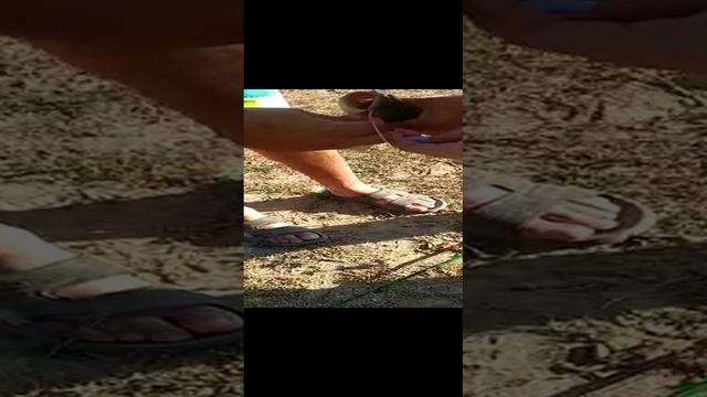 смотрите до конца, комментарии в конце просто нечто.